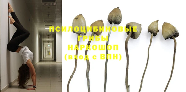 бутират Алексин