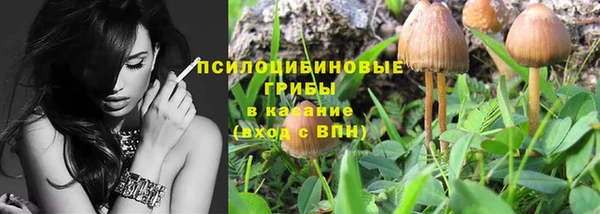 бутират Алексин