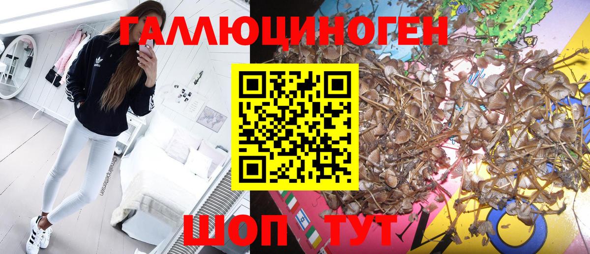Псилоцибиновые грибы ЛСД  цена наркотик  Павлово  Вход с VPN 